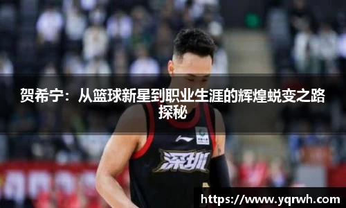 贺希宁:从篮球新星到职业生涯的辉煌蜕变之路探秘